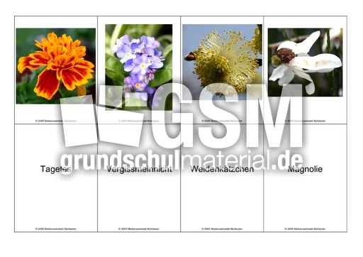 Blumen-Memo-Aufdeckspiel-10.pdf